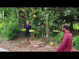 ചക്ക കേരളം വിടുന്നു