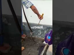 നിന്റെവാസം... കാട്ടിൽമതി...