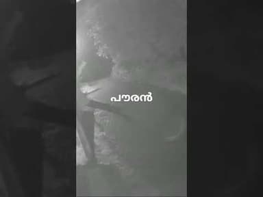 കാട്ടാന അക്രമത്തിൽ നിന്ന് രക്ഷപ്പെട്ടത് തലനാരിഴയ്ക്ക്