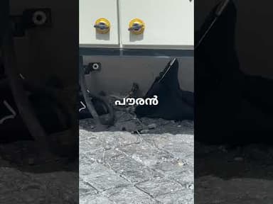 മുഖ്യമന്ത്രിയുടെ വീട്ടിൽ മൂർഖൻ