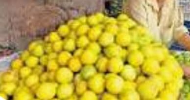 ചെറുനാരങ്ങക്ക് തോന്നുന്ന വില