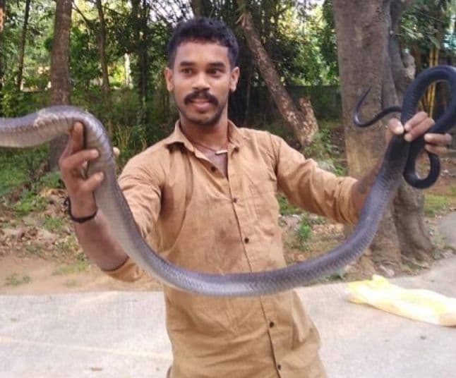 വിശ്രമമില്ലാതെ പാമ്പുപിടുത്തക്കാർ