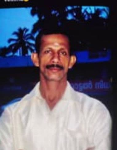 കാട്ടാനയുടെ അക്രമത്തിൽ 65കാരൻ മരിച്ചു