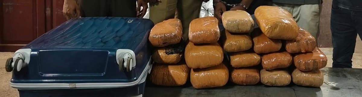 ആലുവയിൽ 21 കിലോ കഞ്ചാവ് പിടികൂടി