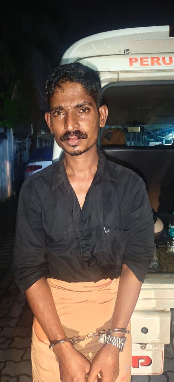 പ്രായപൂർത്തിയാവാത്ത പെൺകുട്ടിയെ തട്ടിക്കൊണ്ടുപോയ 2 പേർ പിടിയിൽ